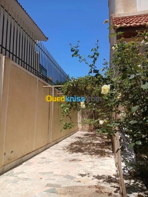 Vente Villa Alger Dely brahim