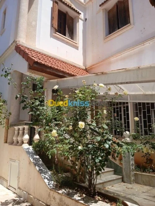 Location Villa Alger Dely brahim