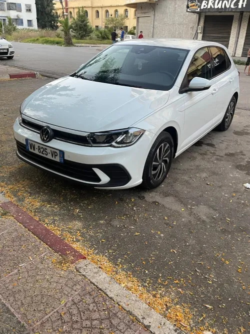 Polo Polo 2023 