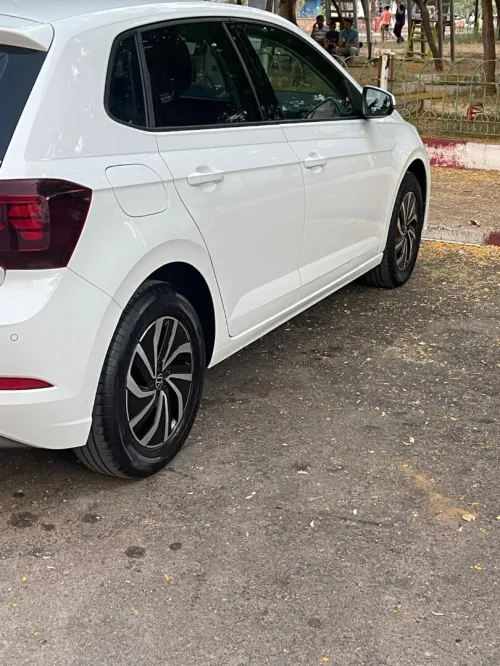 Polo Polo 2023 