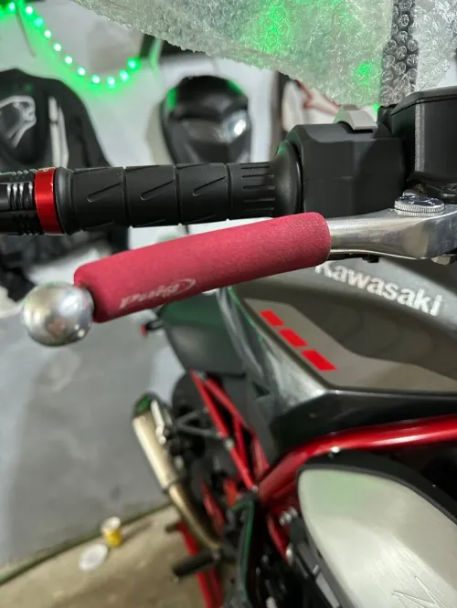 Z900 Kawasaki 2025