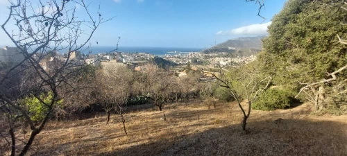 Vente Terrain Chlef Tenes