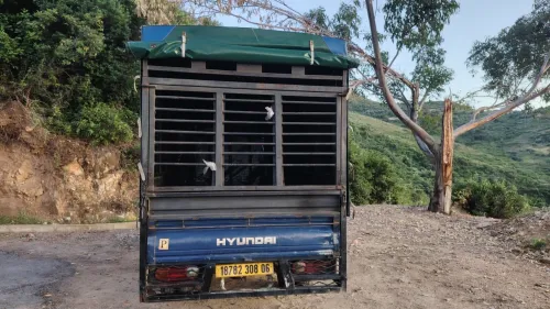 Hyundai H100 2008