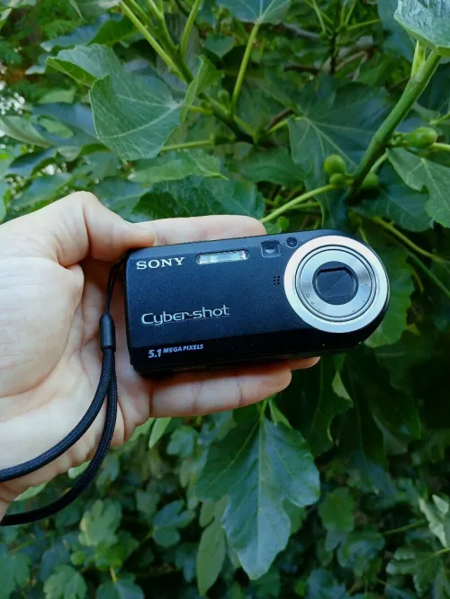 sony dsc p120