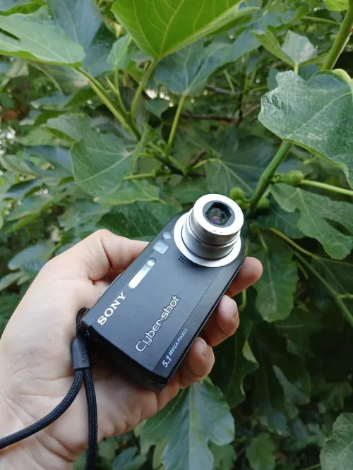 sony dsc p120