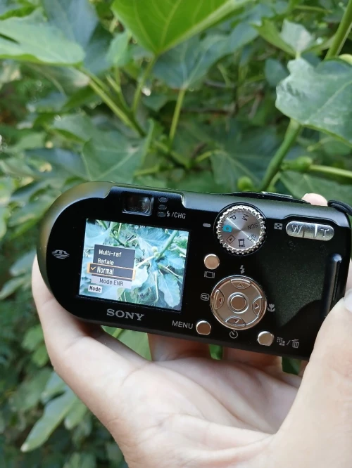 sony dsc p120
