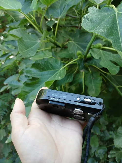 sony dsc p120
