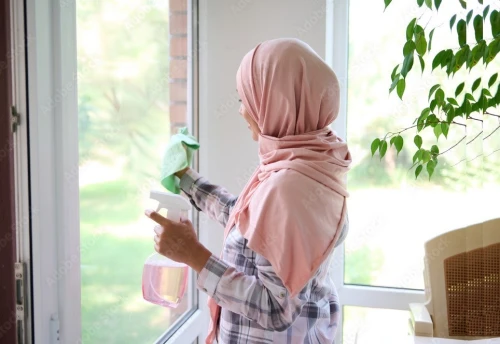 Femme de ménage société de nettoyage entreprise de jardinage service d'entretien