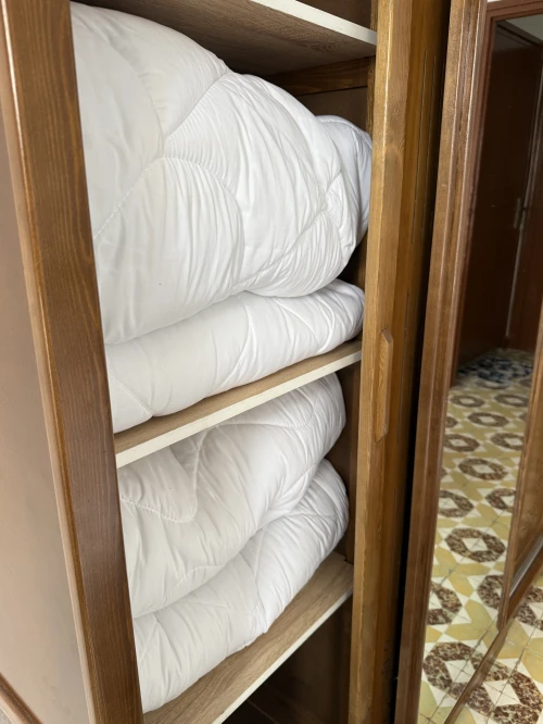 Location vacances Appartement F2 Tlemcen Tlemcen