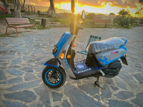 Vms Coxi 2 2024