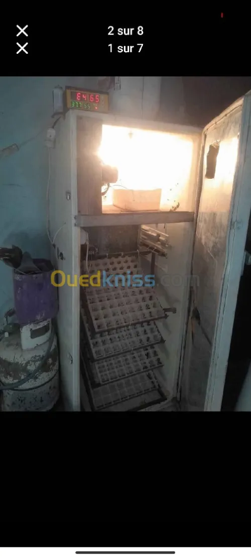فقاسة البيض للبيع المههتم يتصل 