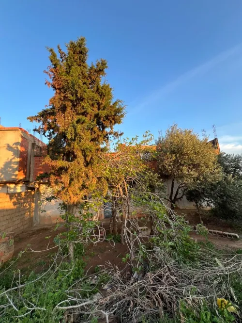 Vente Villa Chlef Chettia