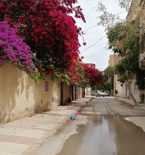 Vente bien immobilier Biskra Biskra