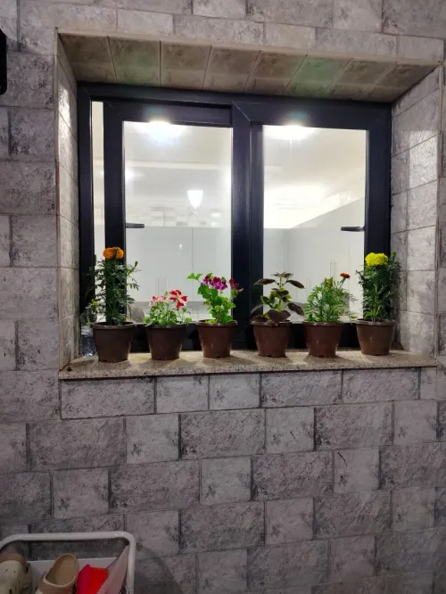 Vente Villa Mostaganem Sayada