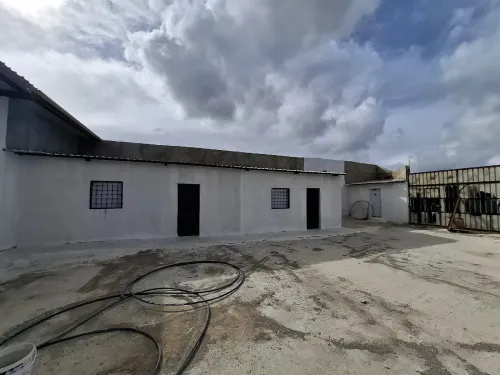 Location Hangar - Usine Oran Sidi chami