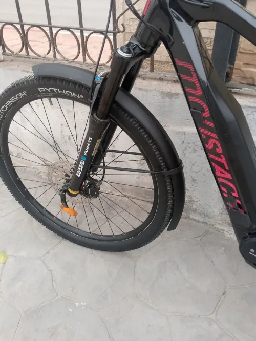Vélo électrique polyvalente moteur Bosch