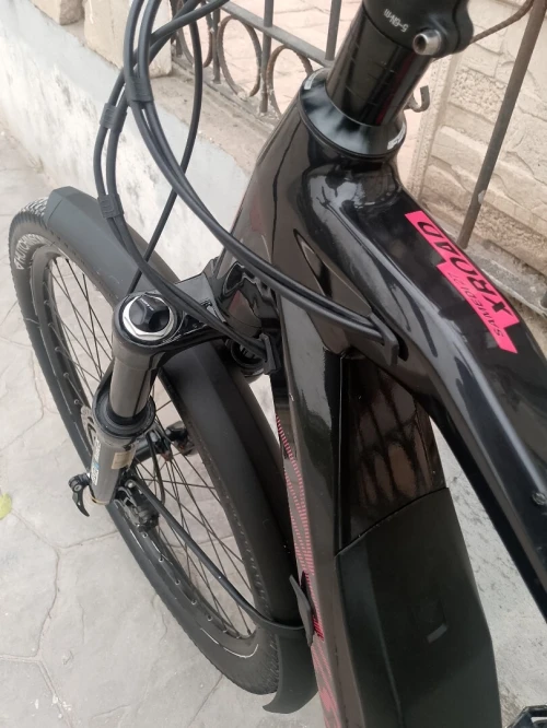 Vélo électrique polyvalente moteur Bosch