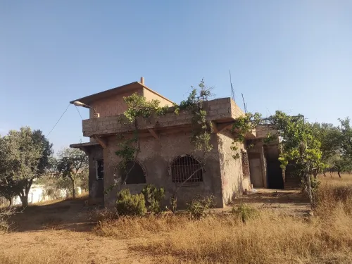 Vente Terrain Agricole Tlemcen Remchi