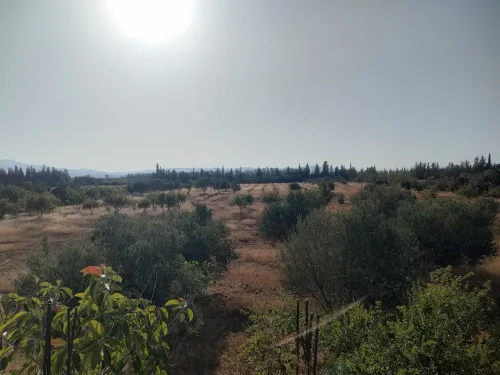 Vente Terrain Agricole Tlemcen Remchi