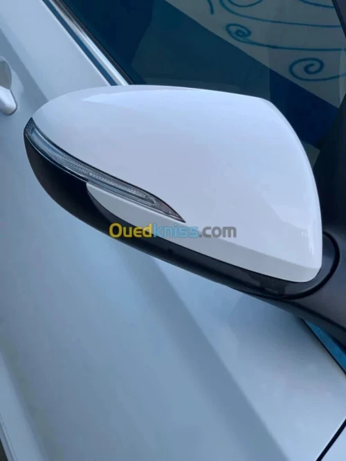 Hyundai Palisade 2023 RB ESSENCE 1.6