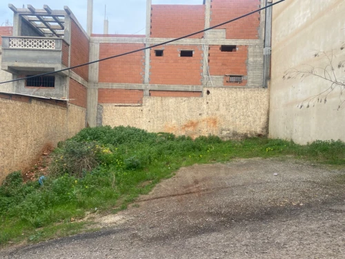 Vente Terrain Tipaza Ain tagourait