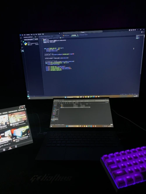 Gaming monitor twisted minds