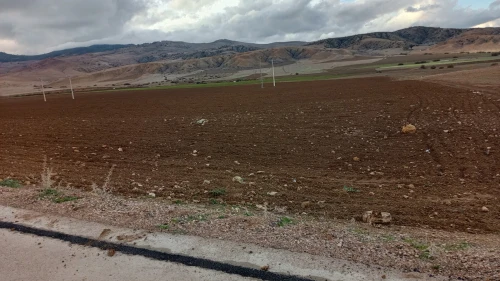 Vente Terrain Agricole Médéa Medjebar