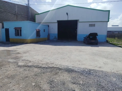 Location Hangar - Usine Sétif Mezloug