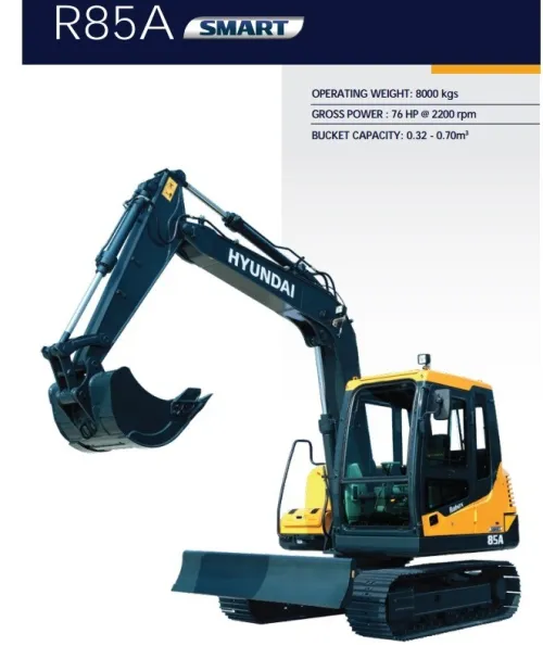 Hyundai PELLE 8 TONNES 2024