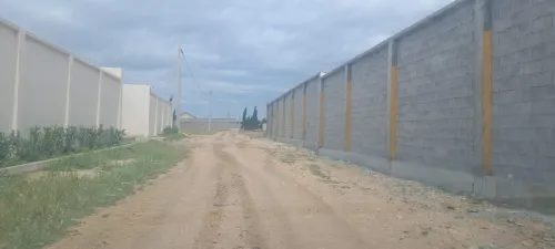Vente Terrain Sétif Guidjel