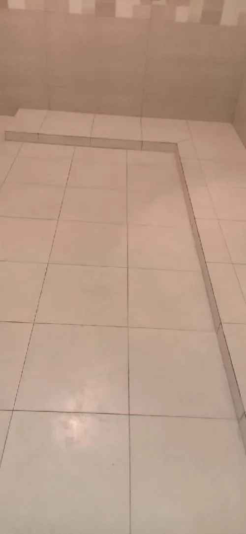 الجزائر 