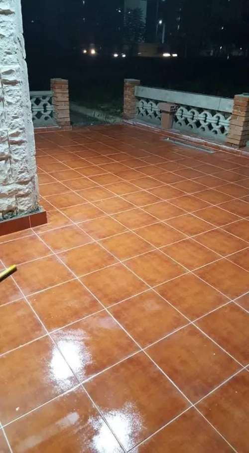 الجزائر 