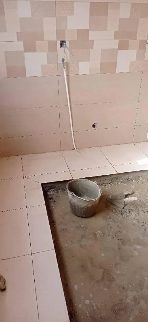 الجزائر 