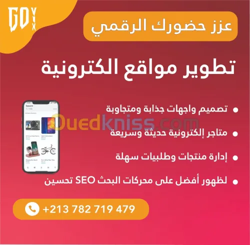 Création de sites web professionnels 
