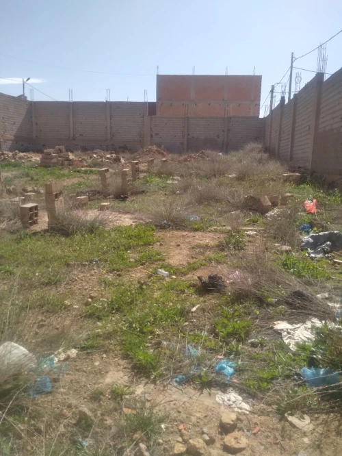 Vente Terrain Tlemcen Maghnia