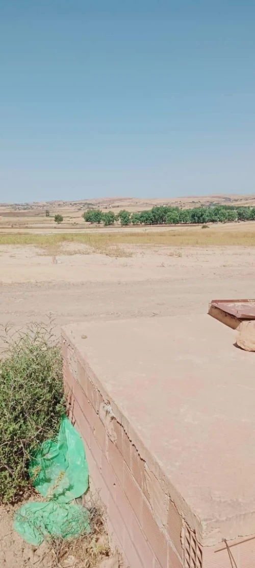 Vente Terrain Chlef Harchoun