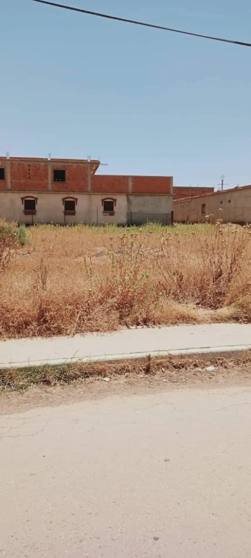Vente Terrain Chlef Harchoun