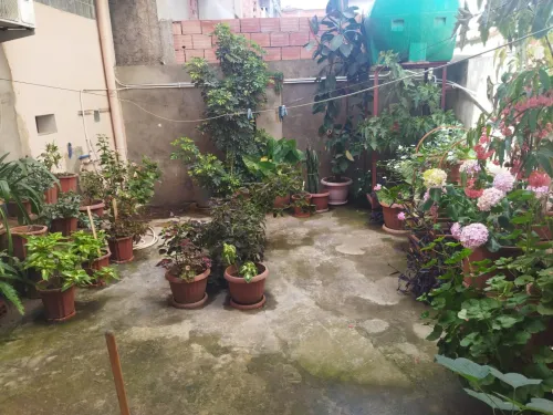 Location vacances Niveau De Villa F2 Jijel Taher