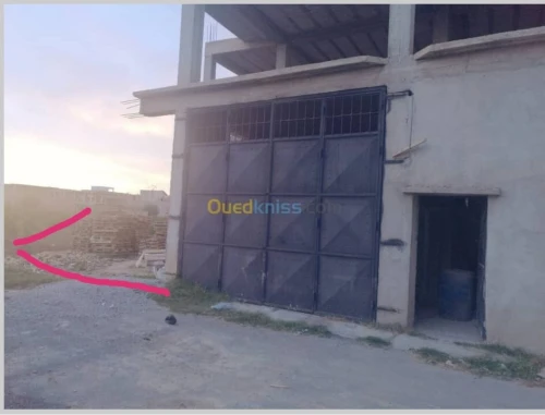 Vente Terrain Blida Beni mered