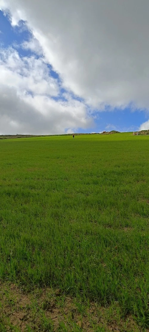 Vente Terrain Agricole Bordj Bou Arreridj Medjana
