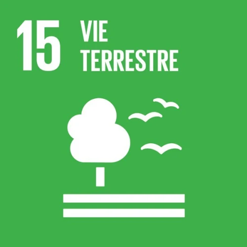 Accompagnement pour la certification systèmes ISO 9001 v 2015,  ISO 45001,  ISO 14001,  ISO 22000