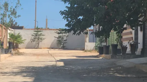 Vente Terrain Oran Bir el djir