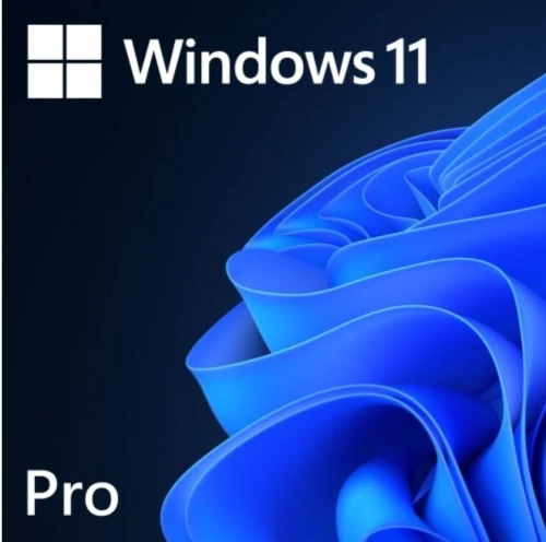 Windows 11 Professionnel