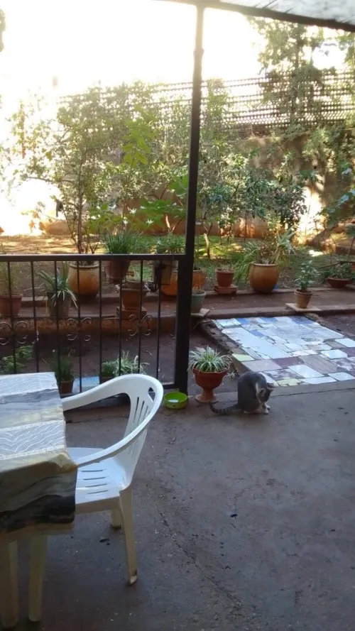 Vente Appartement F4 Alger El harrach