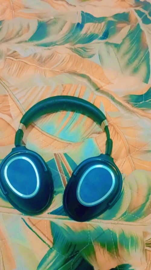 Casque Sennheiser mb 660 Pro