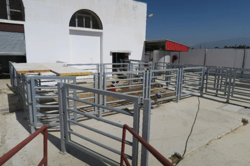 Vente Hangar - Usine Tipaza Attatba