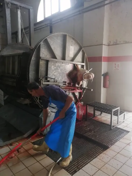 Vente Hangar - Usine Tipaza Attatba