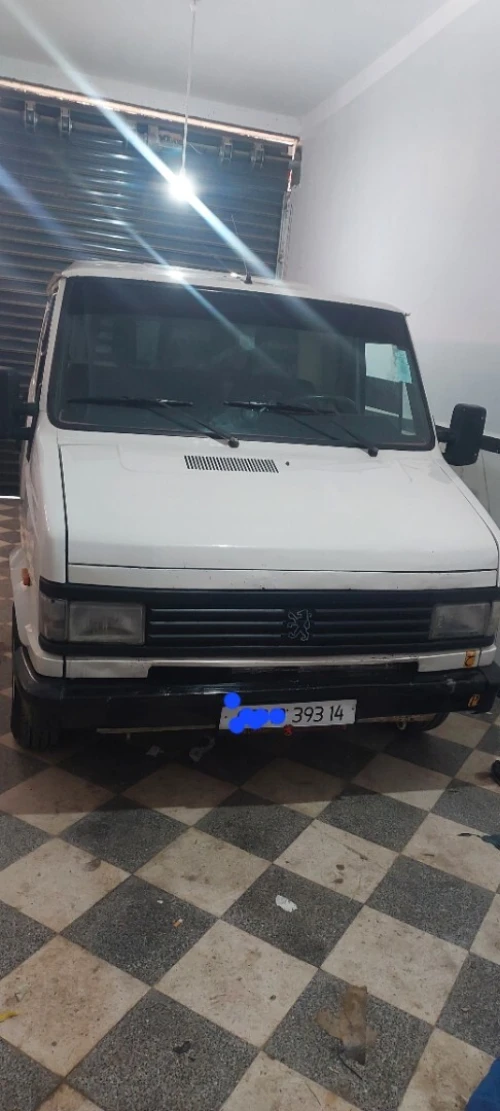 Peugeot J5 1993 J5