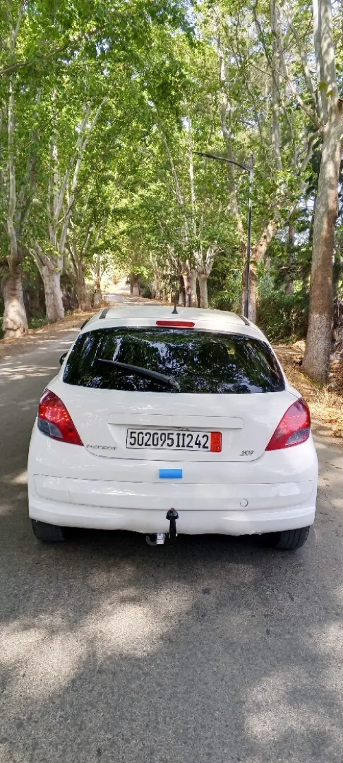 Peugeot 207 2012 Allure 8