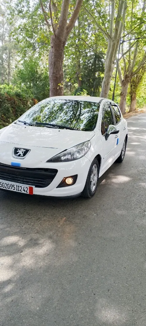 Peugeot 207 2012 Allure 6